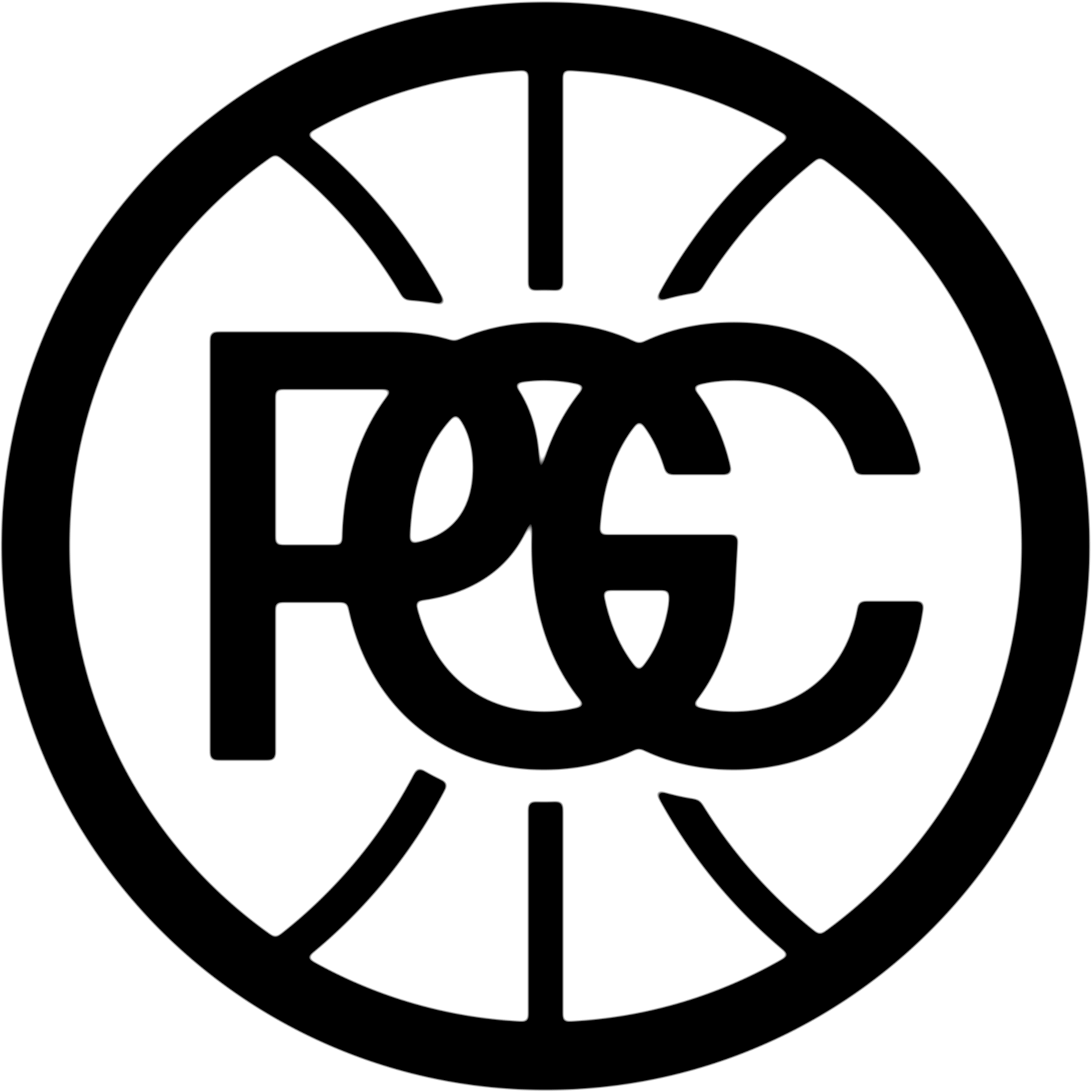 PGC ball black 2