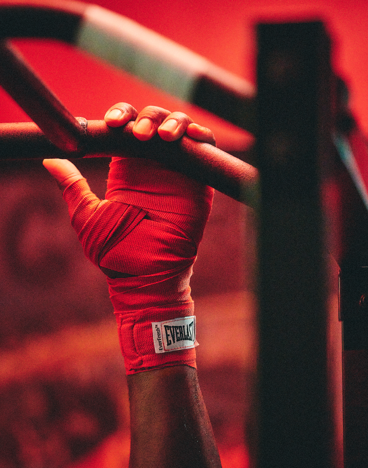 everlast-ali-2